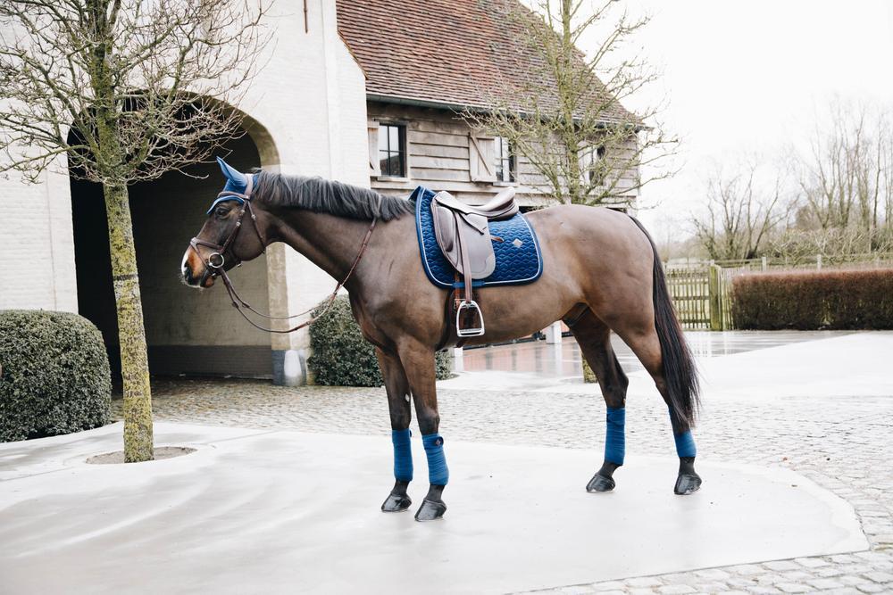 Tapis de selle basic dressage velours noir 3/5