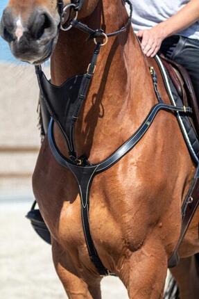Dy'on Bib Martingale Att Zwart -