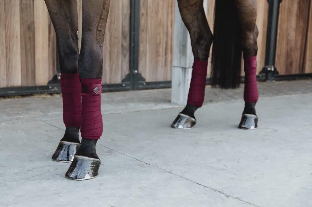 Bandes de polo Velvet  - Kentucky 6/7