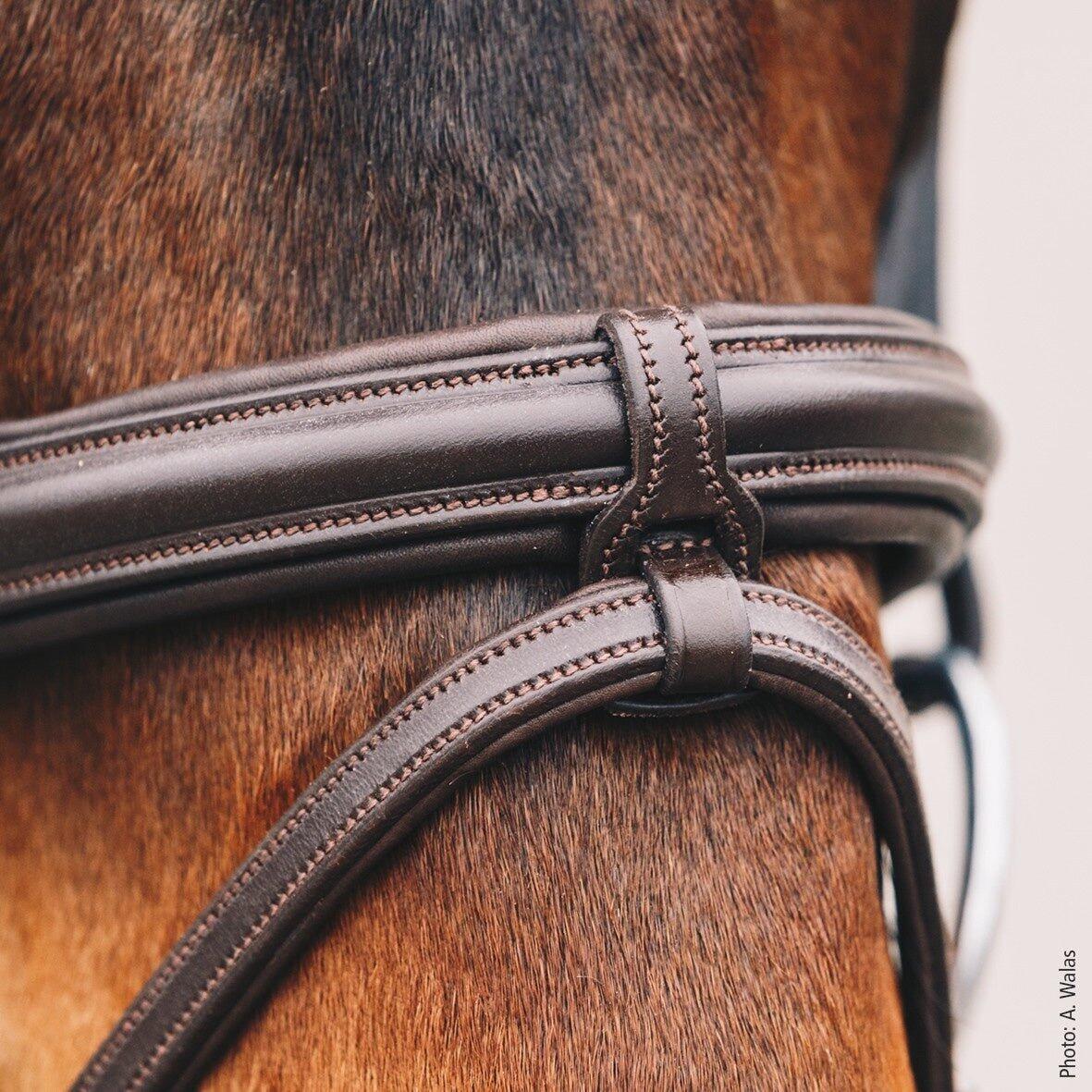 Anatomisch paardrijg bridle Schockemöhle Tokyo Select 4/4