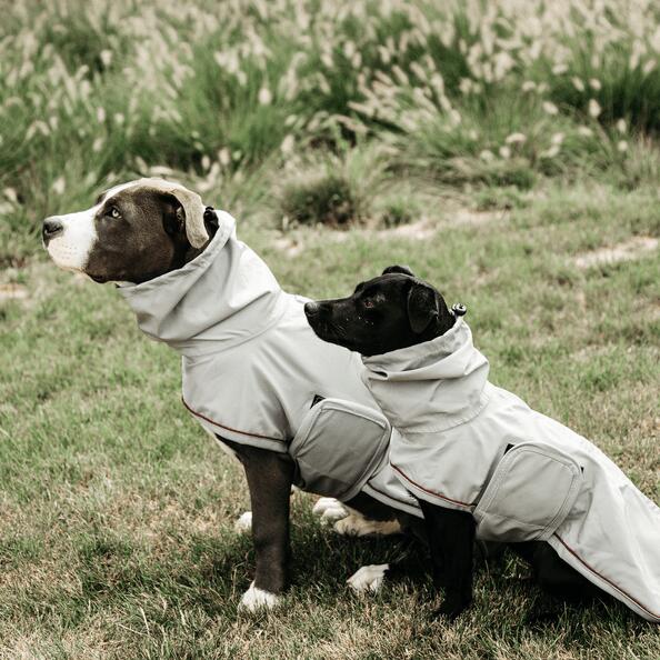 Impermeabile per cane Kentucky 0g 6/7