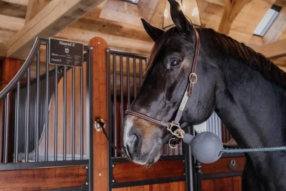 Bola de proteção em borracha Kentucky Horsewear 4/7