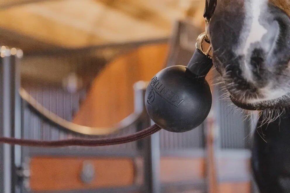Bola de proteção em borracha Kentucky Horsewear 3/7