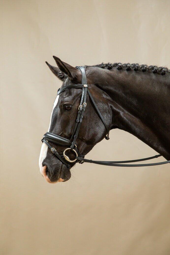 Dy'on Matte Large Crank Noseband With Flash - Working Zwart - 2/2