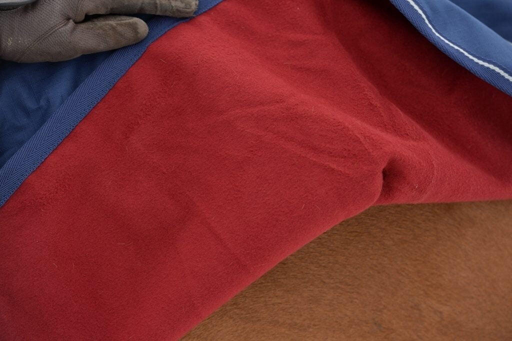 Manta riñonera impermeables para caballo Bucas 4/6