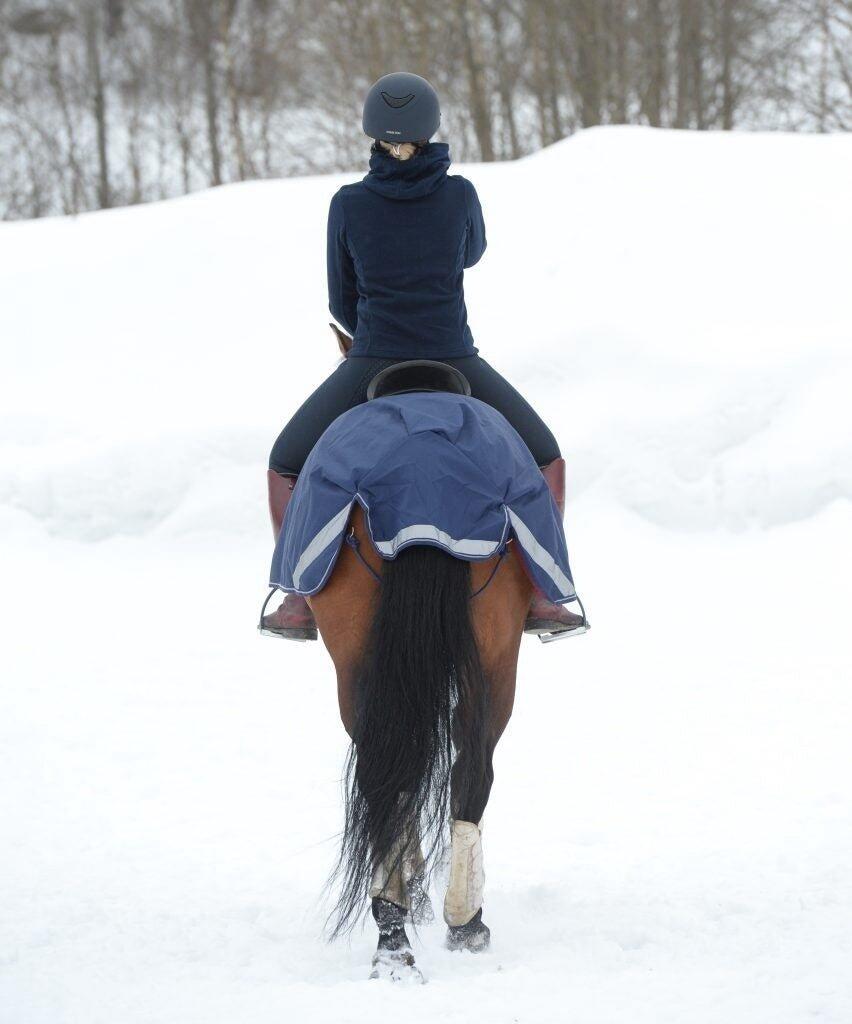 Manta riñonera impermeables para caballo Bucas 6/6
