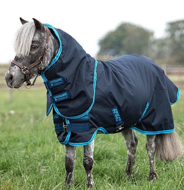Horseware Amigo Hero 6 Petite Plus Turnout Delphinium - 2/4