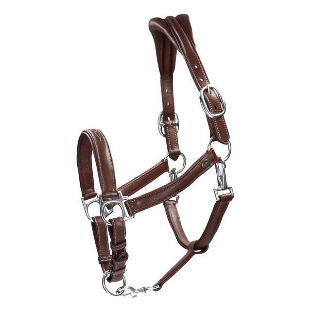 Dy'on Soft Leather Head Collar Working Collection Zwart -