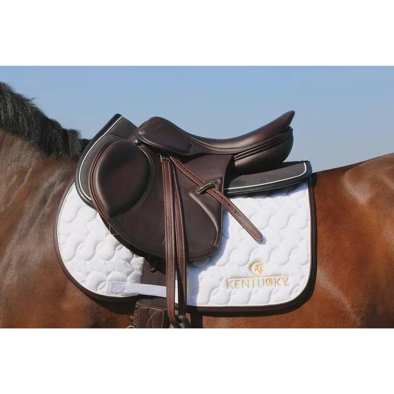 Kentucky Zadeldek Logo Wit -