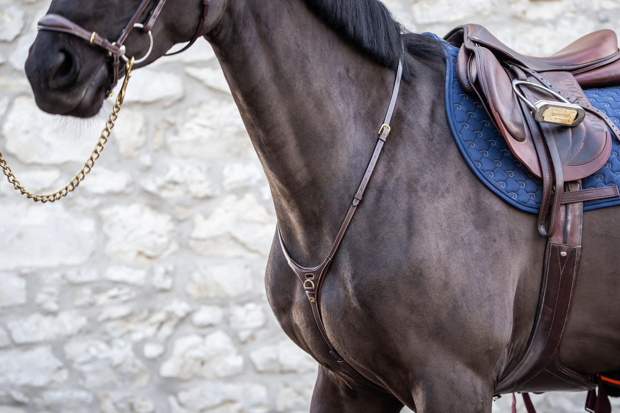 Martingala per cavalli Dy'on Yoke 2/5