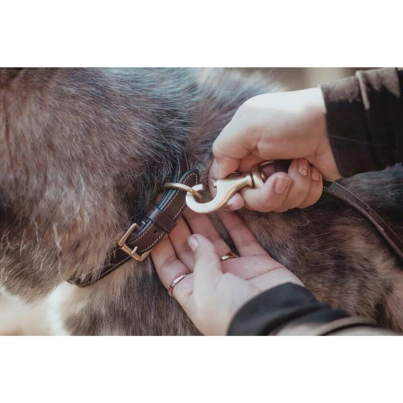 Dy'on Classic Dog Leash Zwart -