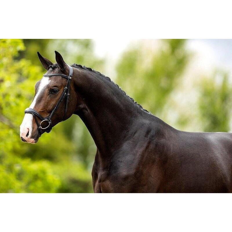 Br Hoofdstel Longridge Grijs -