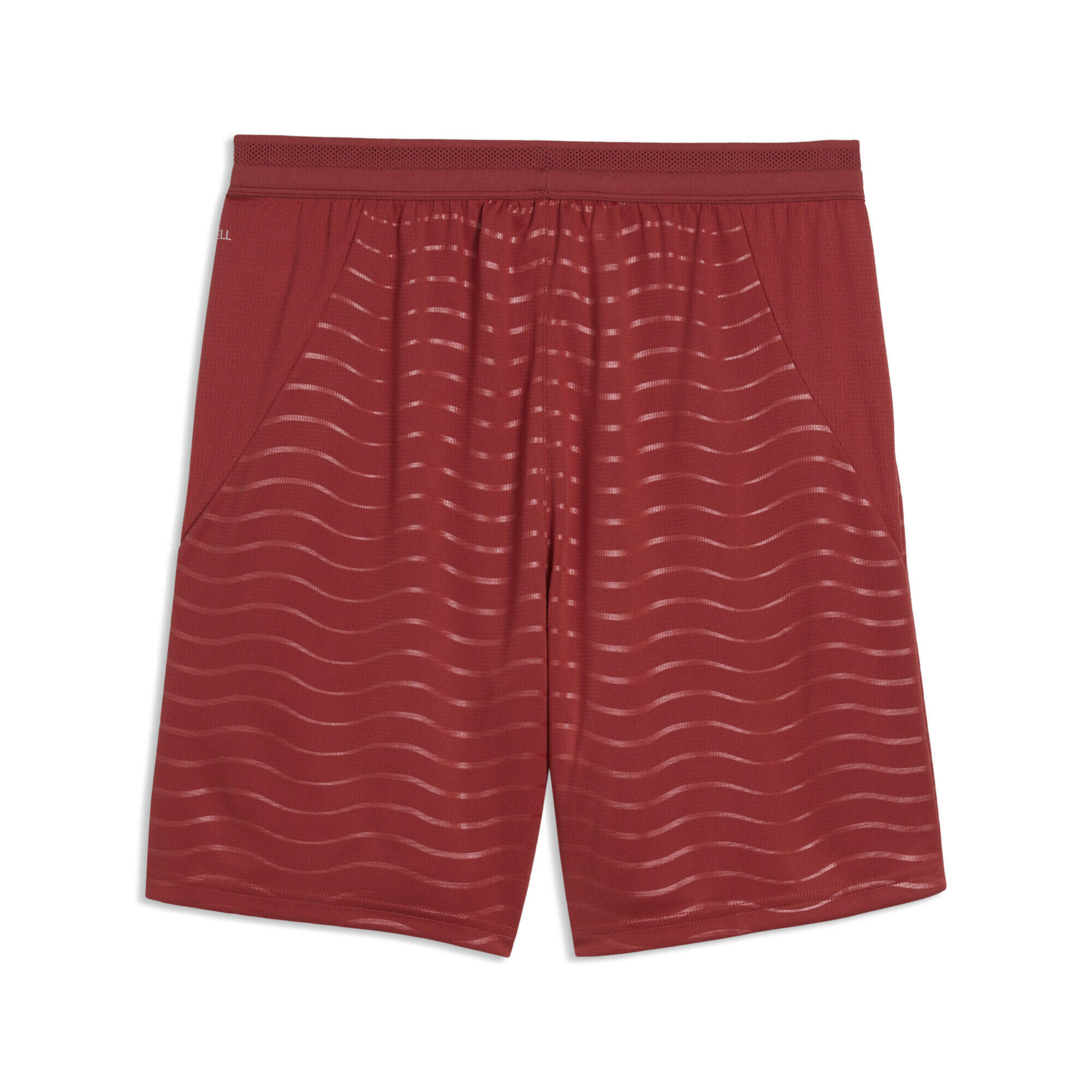 Short Portugal 2026 Homme PUMA 5/5