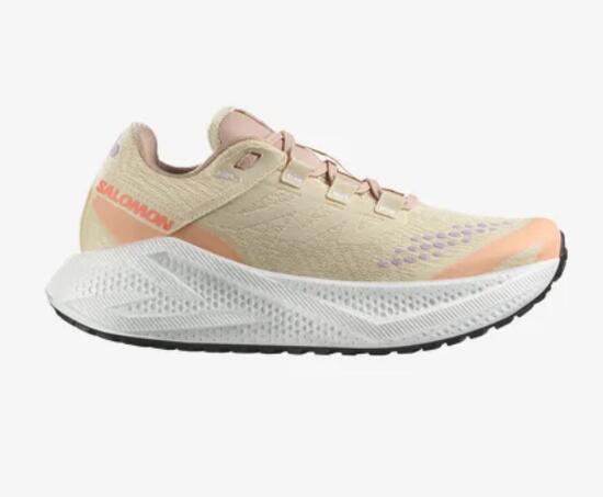 Chaussure de Trail / Running Femme Salomon "AERO GLIDE 3 GRVL W" Beige 36 2/3