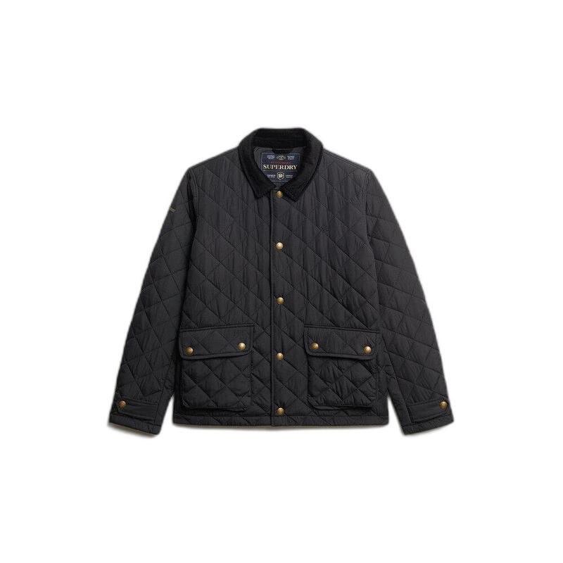 c02ef172-e95c-4660-a098-814c0a360529_c1