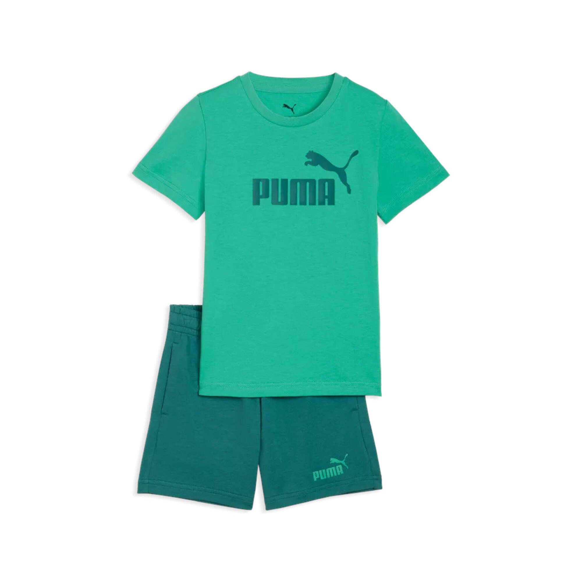 PUMA picture