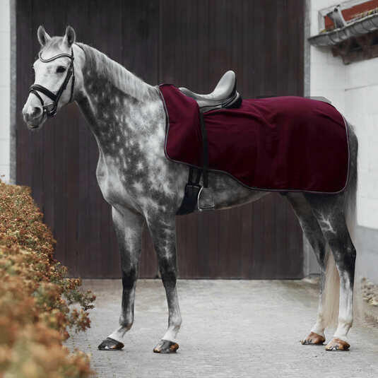 Couvre-reins pour cheval polaire Horze Kiel 2/4