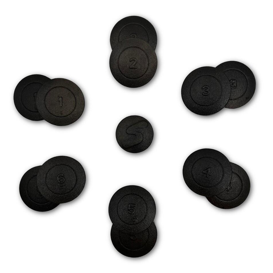 Jeu de 12 palets bretons SEBO + 1 maître en fonte GS trempée, n° 1 à 6 3/4