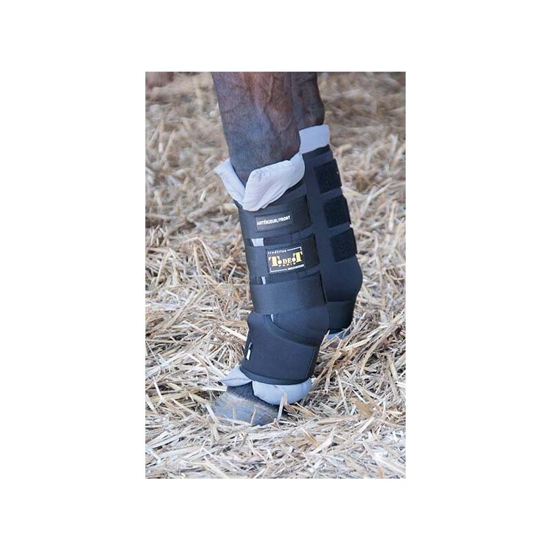 Botines de establo para caballos T de T 2/2