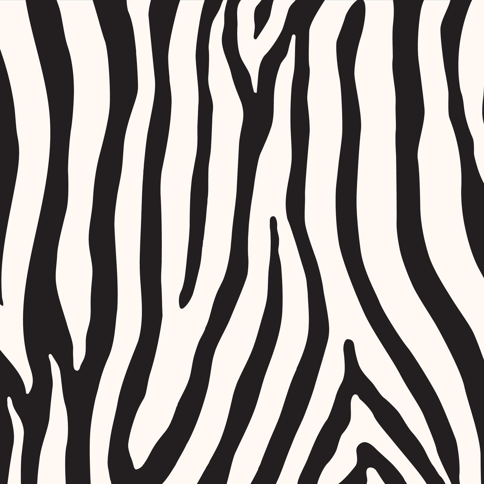 Termo Termoska Elton Insulated láhev 600 ml Zebra Jungle 4/6