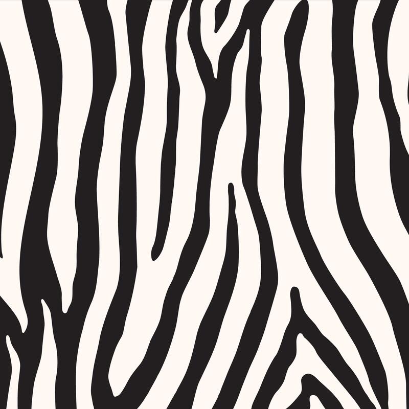 Termo Termoska Elton Insulated láhev 600 ml Zebra Jungle
