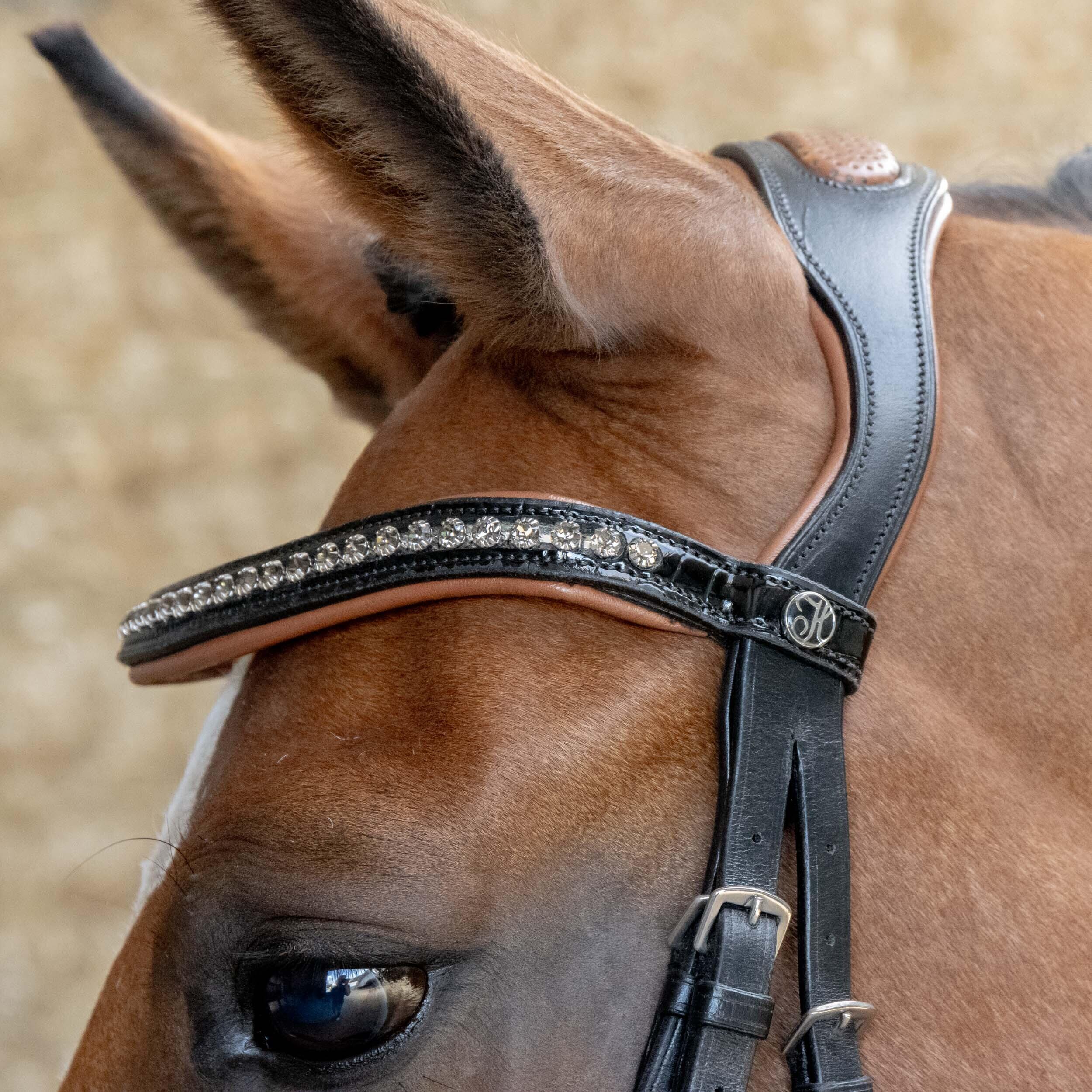 Trense Harry's Horse 3/4