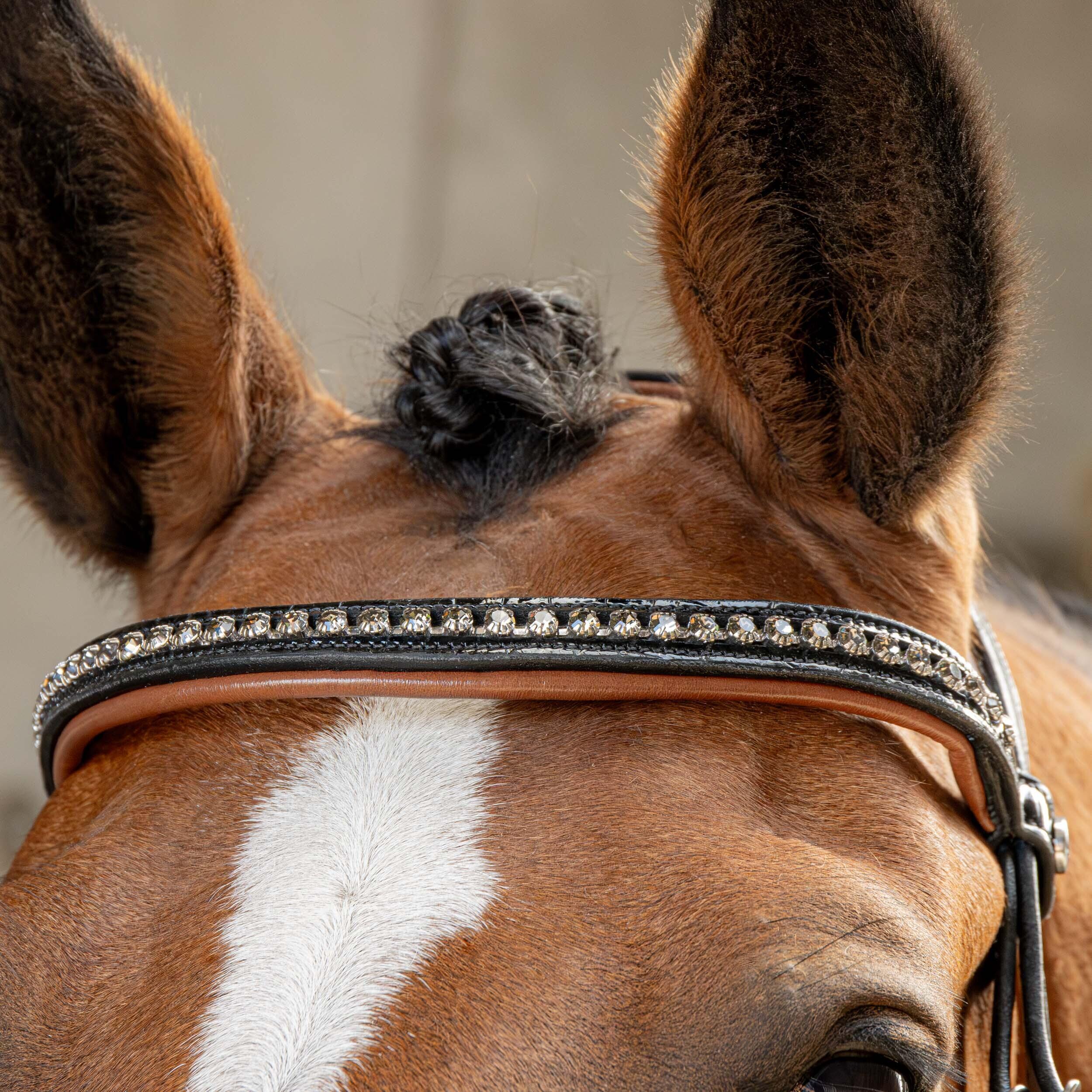 Trense Harry's Horse 2/4