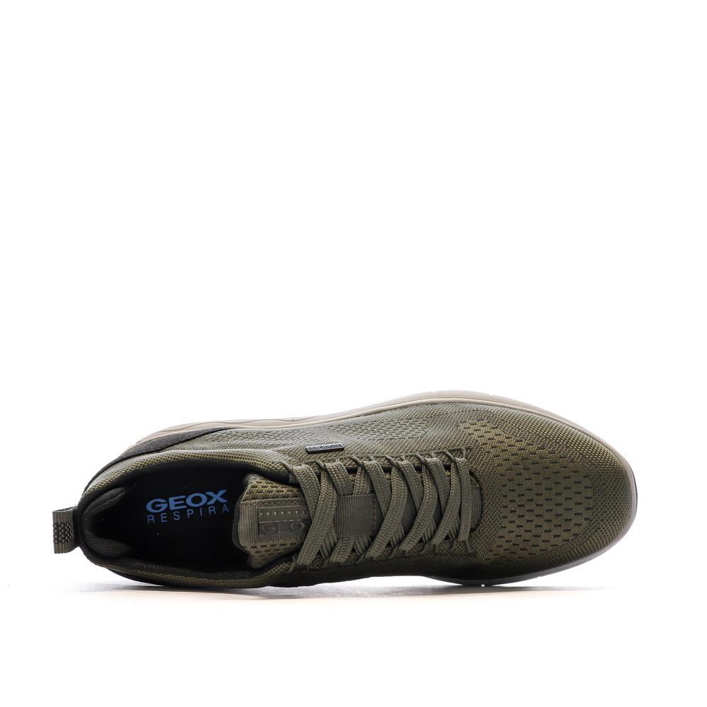 Baskets Kaki Homme Geox Sepherica 4/7