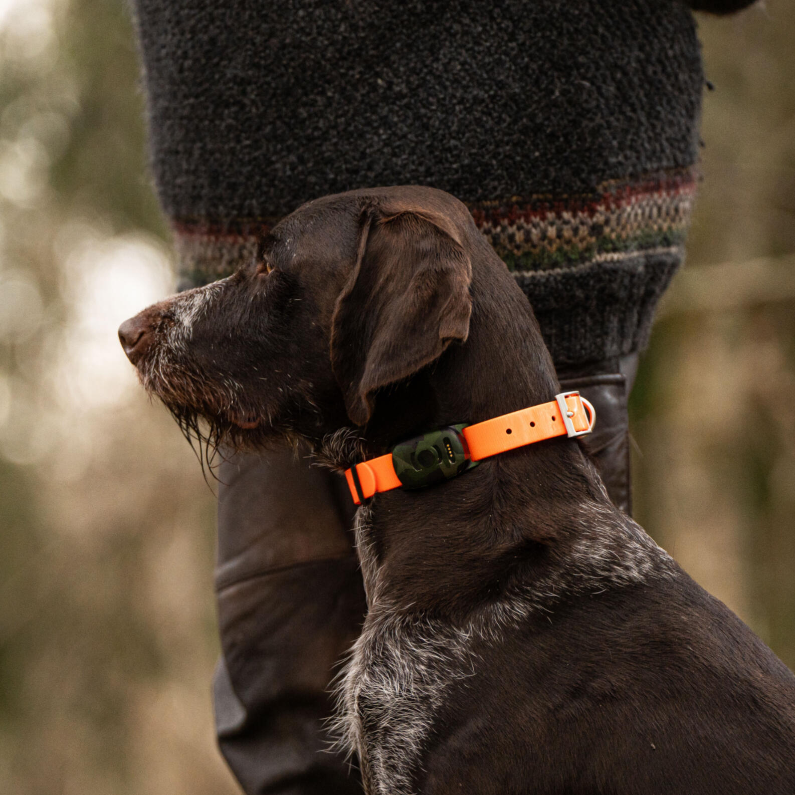 MiniFinder Vexo - Traceur GPS pour chien 2/5