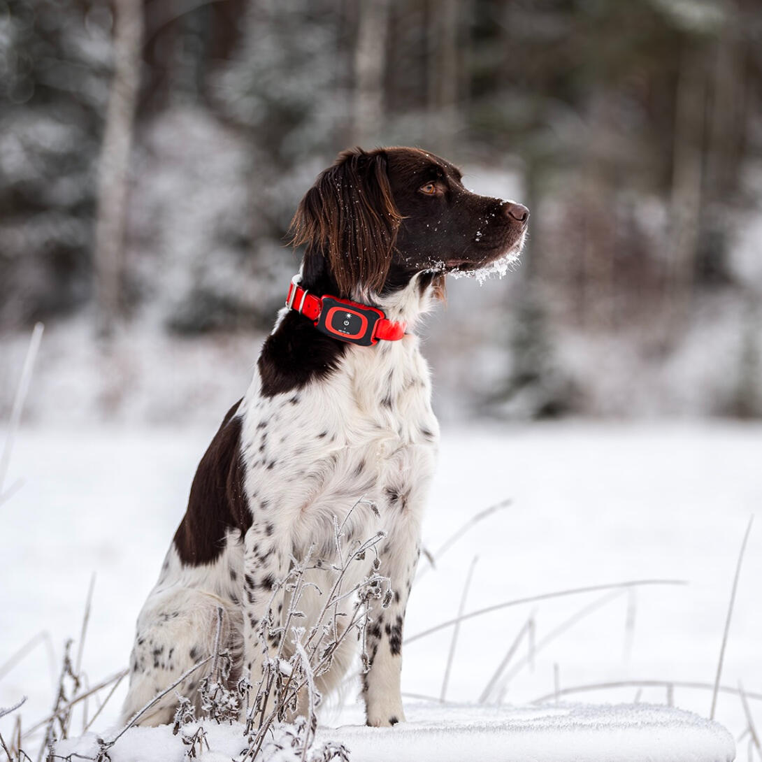 MiniFinder Rex - GPS-tracker voor honden 2/7
