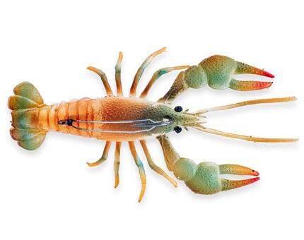 leurre souple – The Mud Bug 7cm - Blue Night