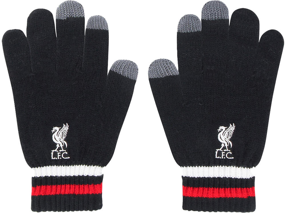 LIVERPOOL FC picture
