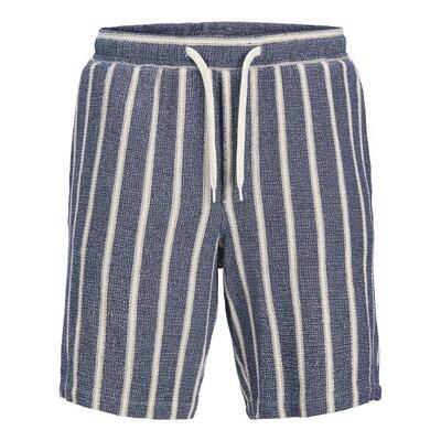 Shorts jack & jones jaiden coba streep oceaangrot