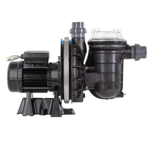 Pompe La Sta-Rite 0,5 CV Mono (11 m³/h) - Pentair - STA-RITE 5/6