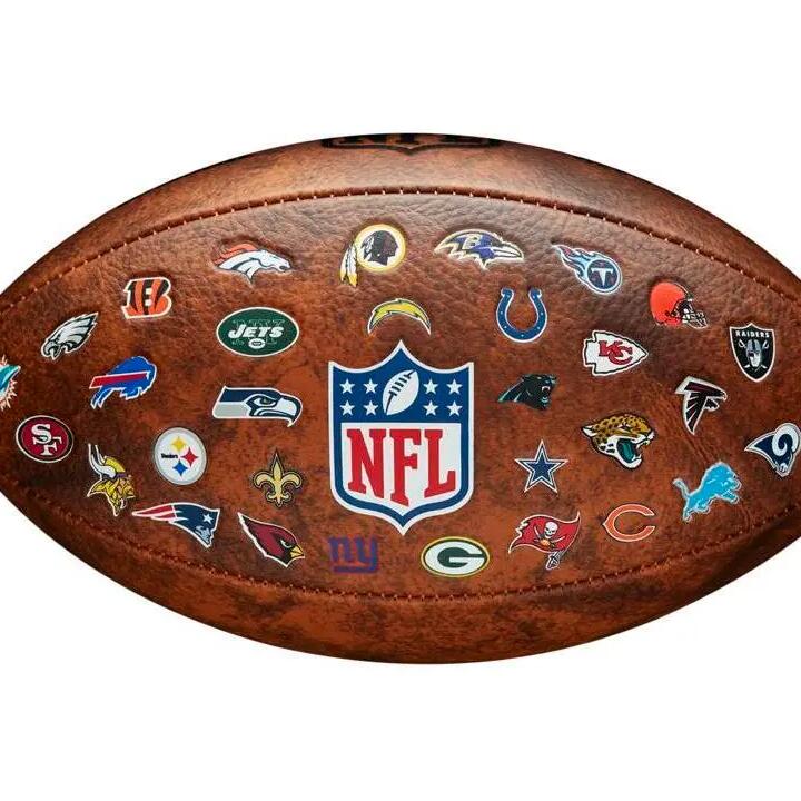 Children's Wilson NFL Throwback 32 Team Logo football
