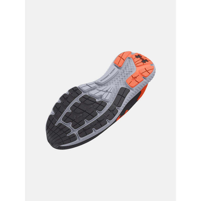 e1ec37bb-ab97-4e39-8d7f-9e13f26f6cef_c14