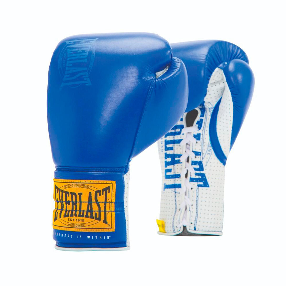 EVERLAST picture