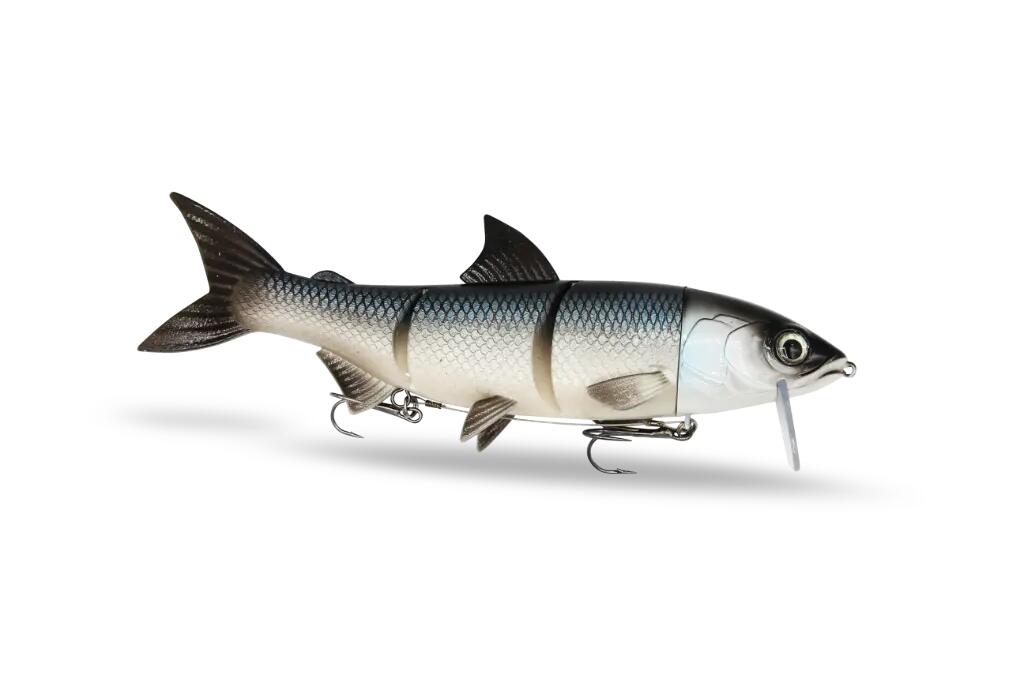FISHINGGHOST picture