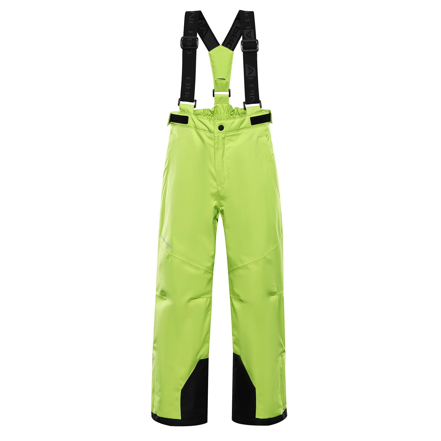 ALPINE PRO picture