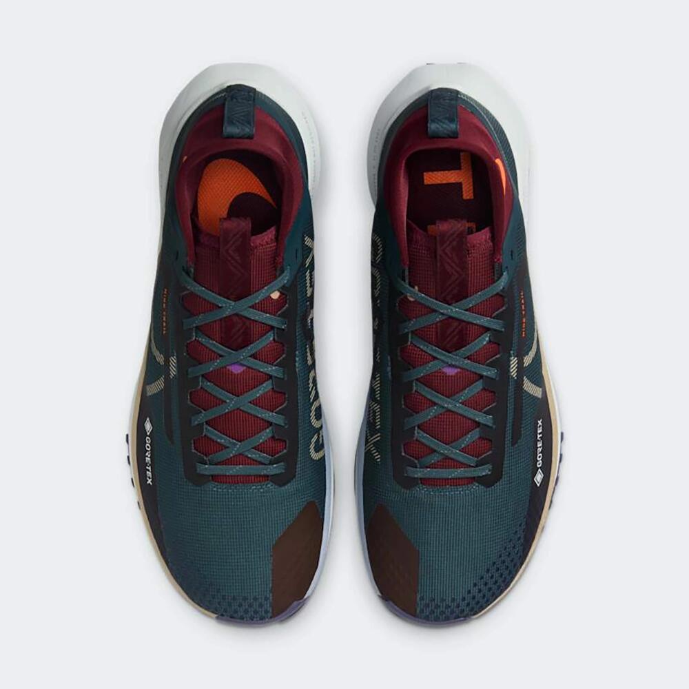 Heren Sportschoenen Nike Pegasus Trail 4 Gtx V2 5/7