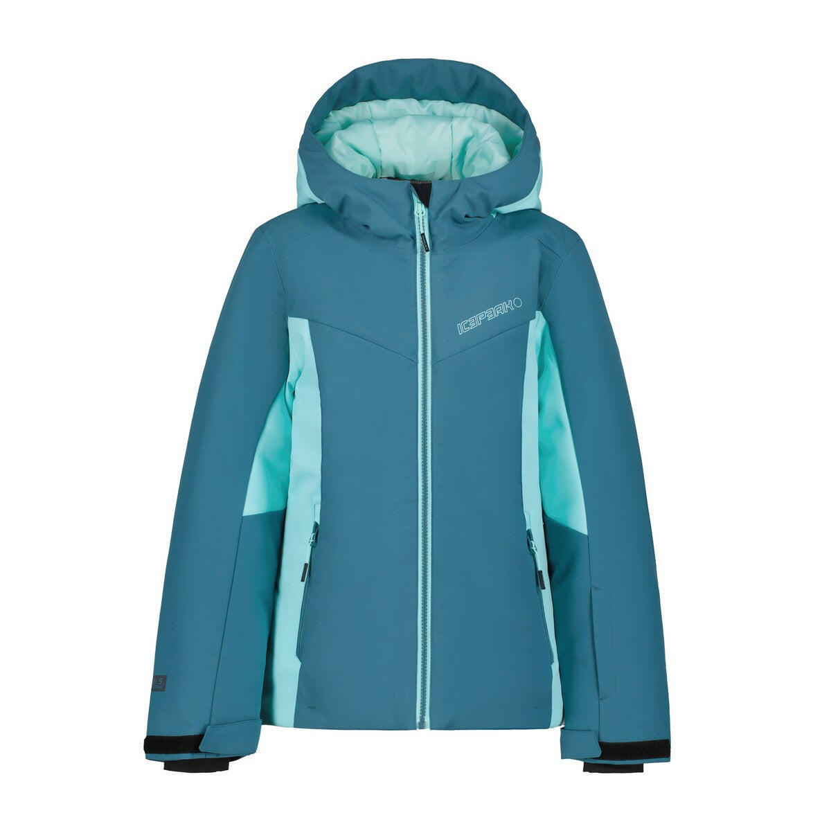ICEPEAK picture