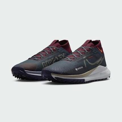 Buty Sportowe Męskie Nike Pegasus Trail 4 Gtx V2