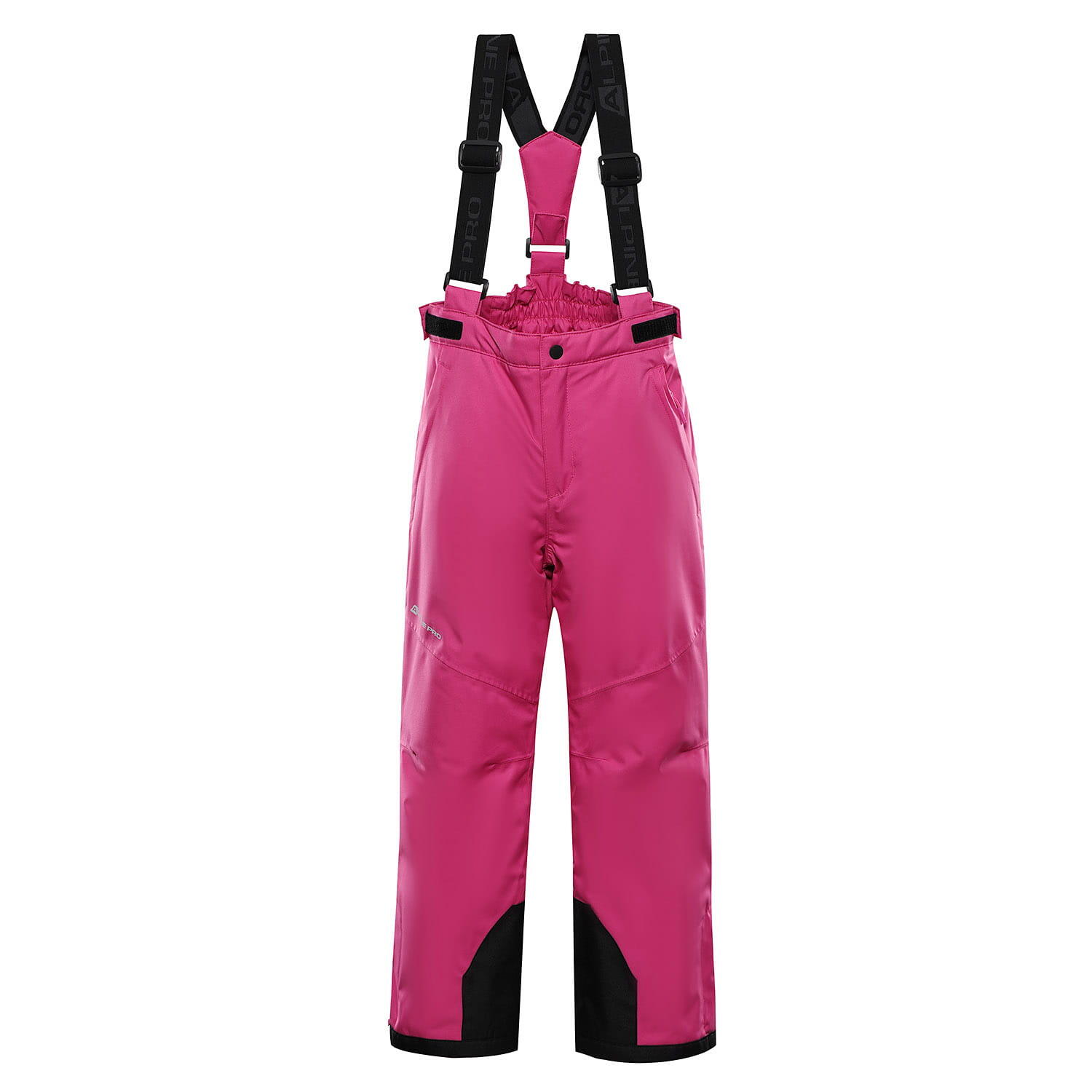ALPINE PRO picture
