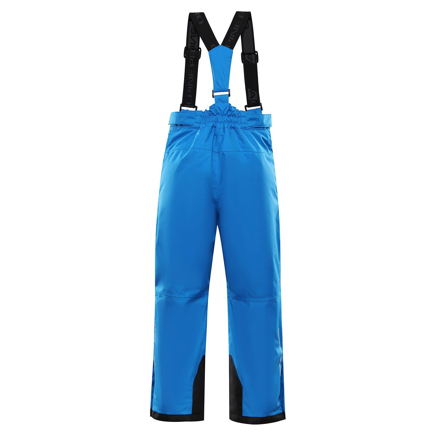 ALPINE PRO picture