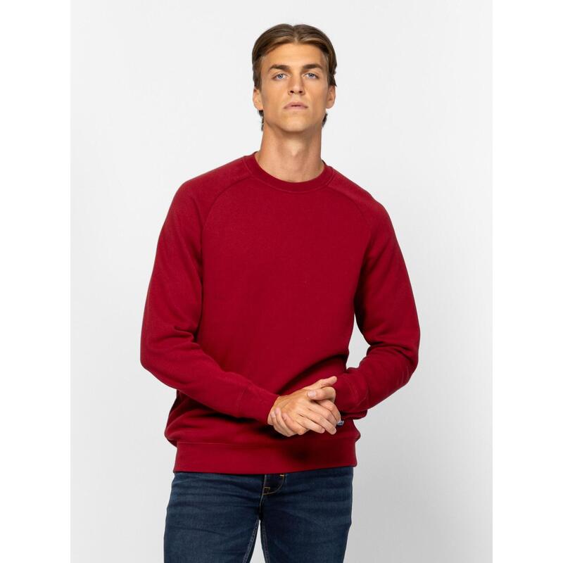 8094a1cc-9dea-4538-9a12-f3fd59c182cb_c16