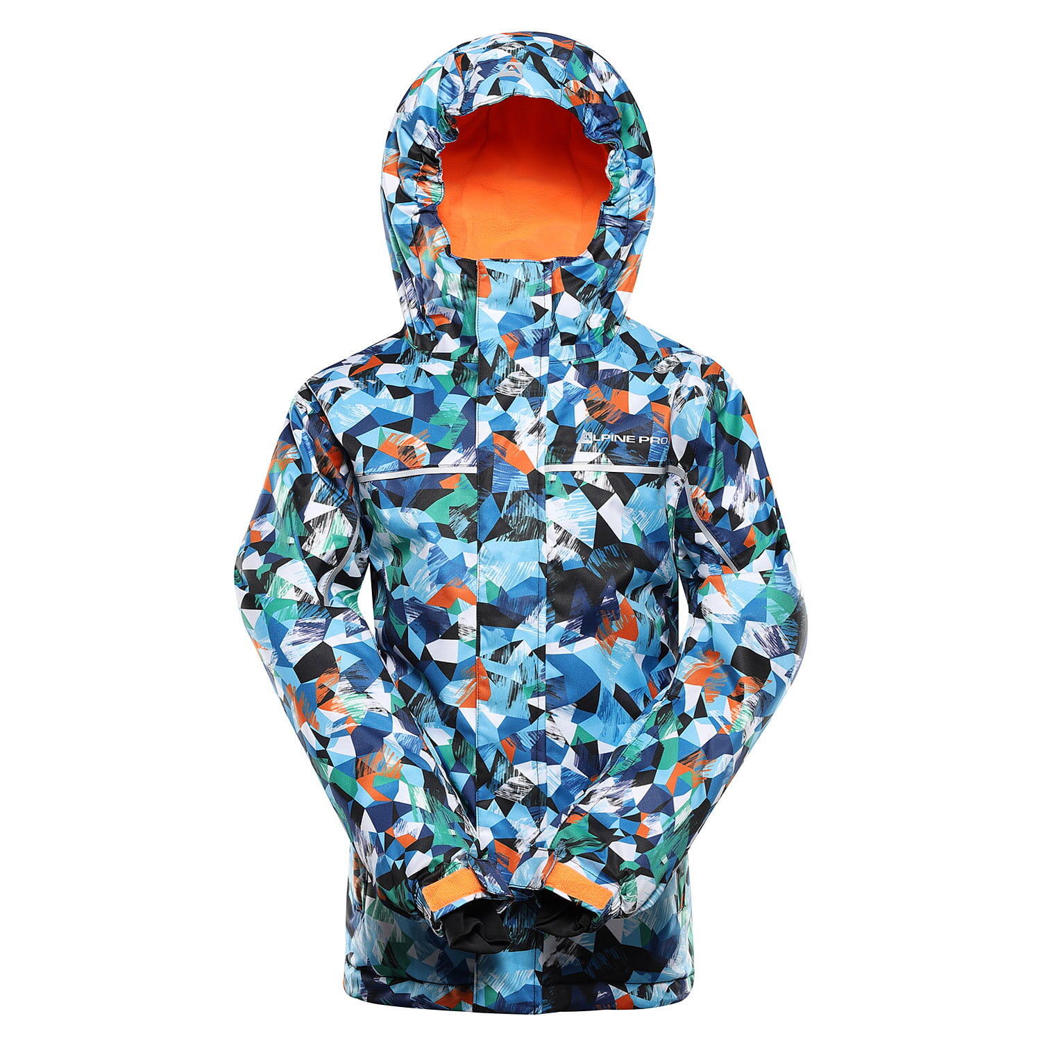 ALPINE PRO picture