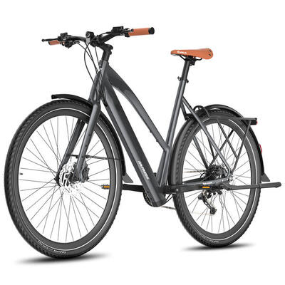 Fafrees f700w elektrische fiets, 250w motor, 36v 10ah accu