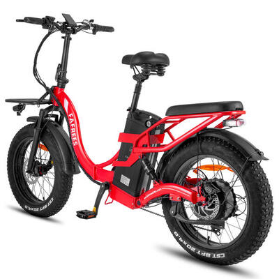 Bici elettrica pieghevole Fafrees F20 X-Max con batteria da 48 V 30 Ah