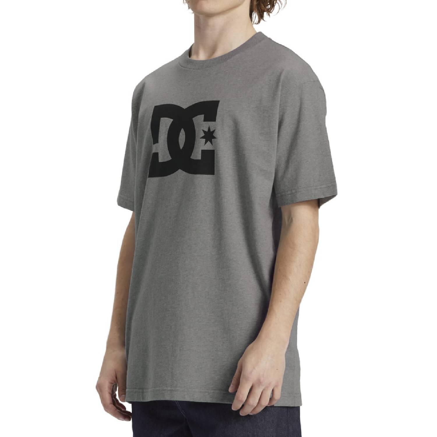 Koszulka turystyczna męska DC Shoes Star 3/5