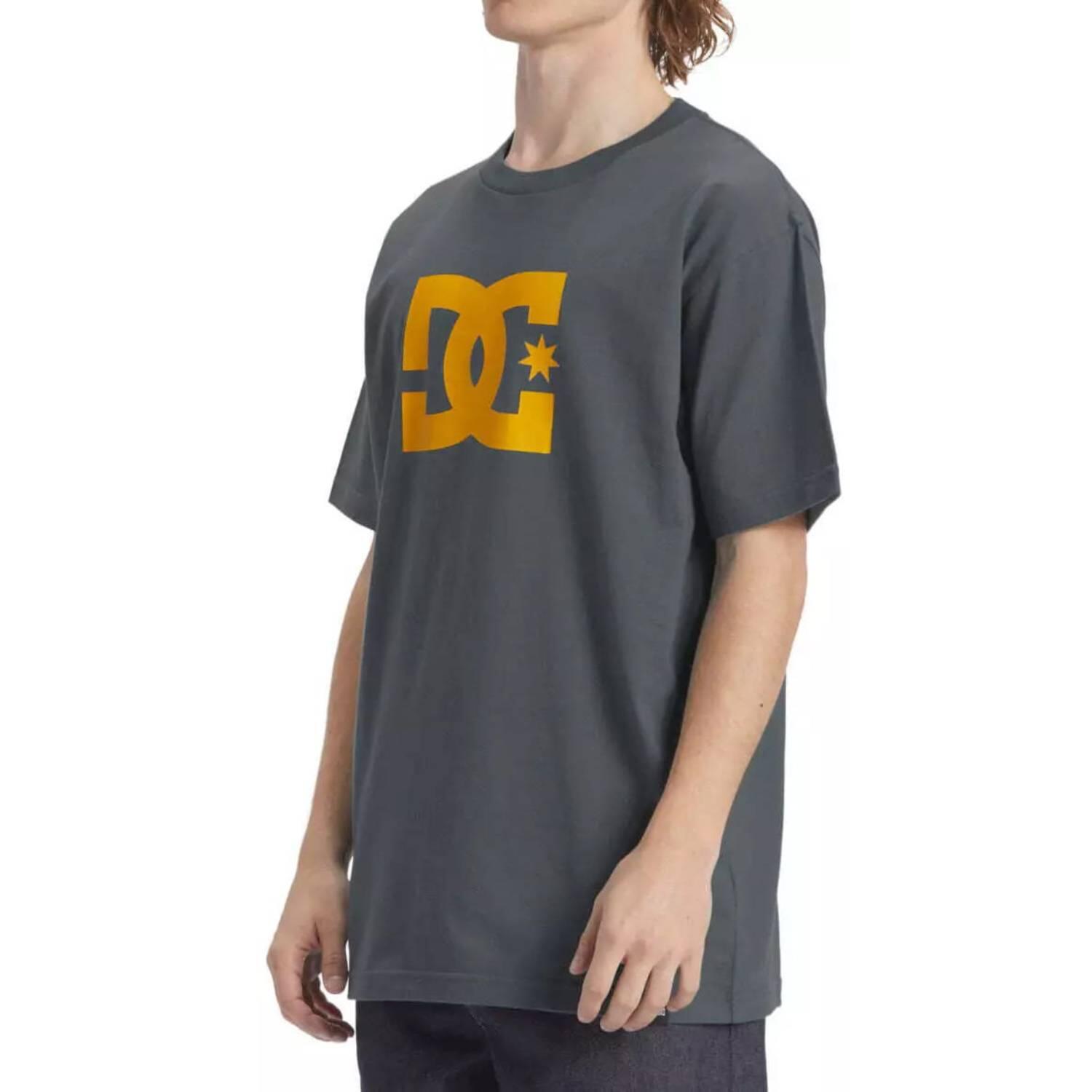 Koszulka turystyczna męska DC Shoes Star 3/5
